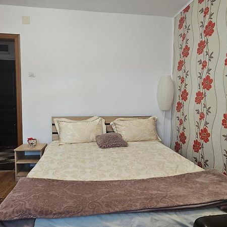 Apartament Casa Suzana Piatra Neamţ Zewnętrze zdjęcie