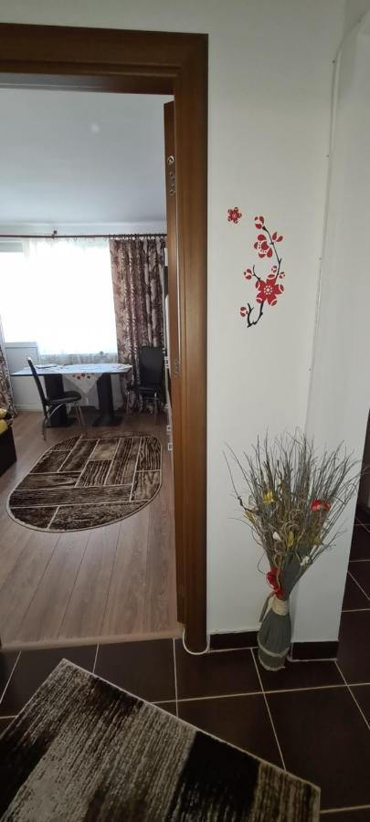 Apartament Casa Suzana Piatra Neamţ Zewnętrze zdjęcie