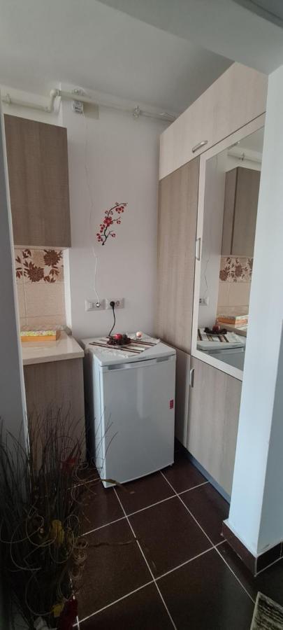 Apartament Casa Suzana Piatra Neamţ Zewnętrze zdjęcie